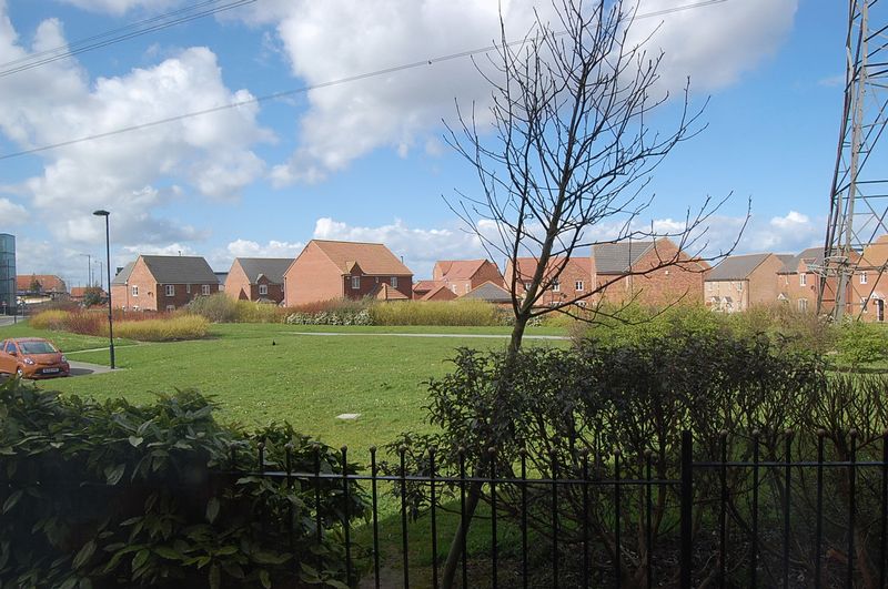 Brookfield West Allotment